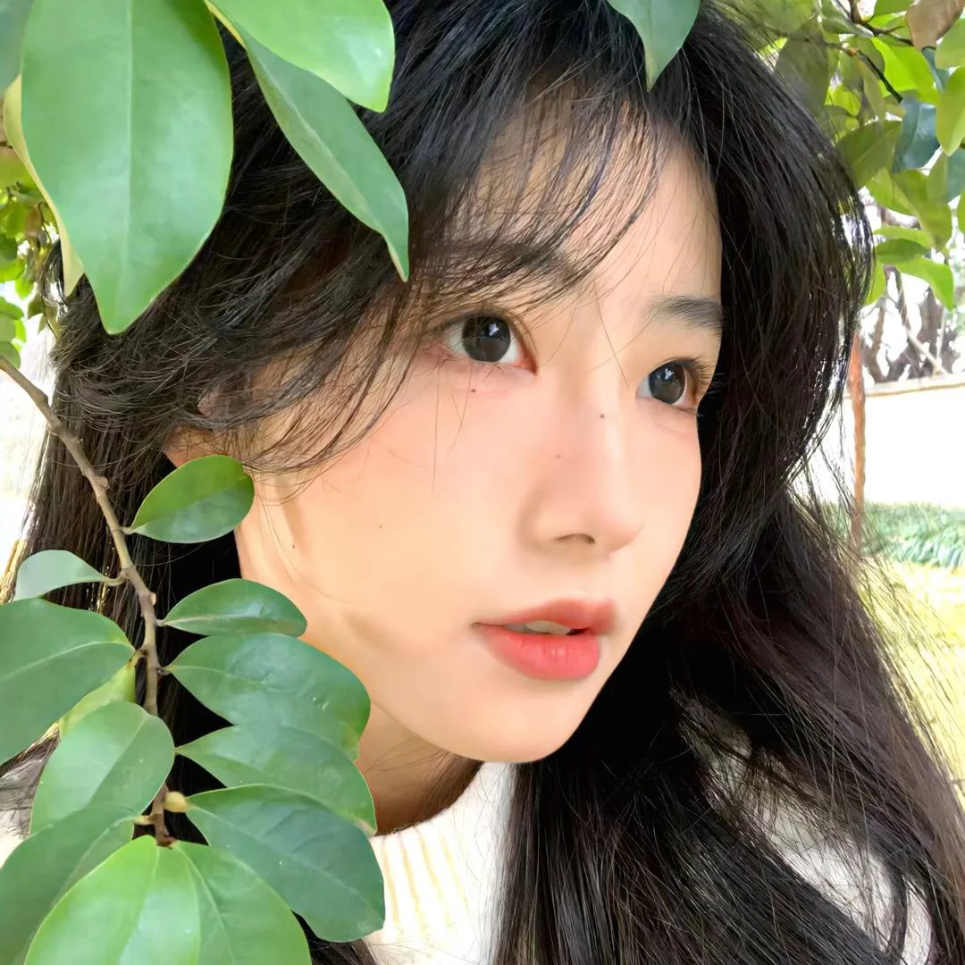 我的同学是美人鱼